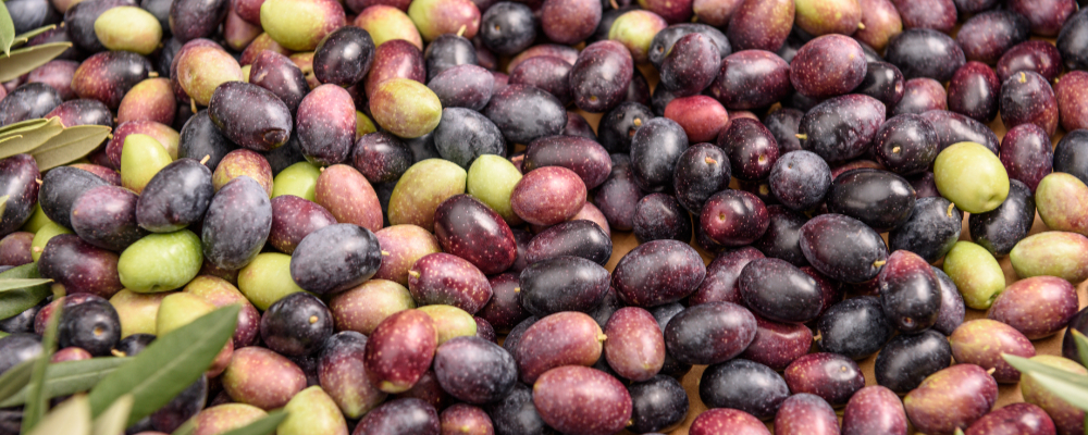 Olives, patés i elaborats